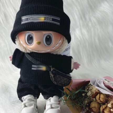Labubu and branded clothes full set